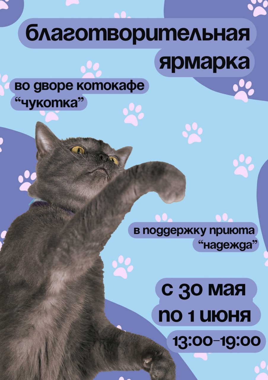 edagda16124.jpg